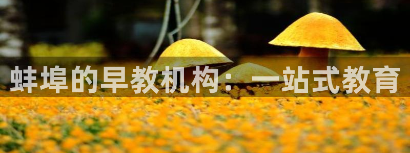 鸿图娱乐下载天狮：蚌埠的早教机构：一站式教育