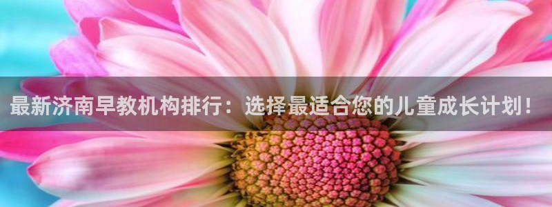 龙湖狮山天街娱乐：最新济南早教机构排行：选择最适合您的儿童成长计划！