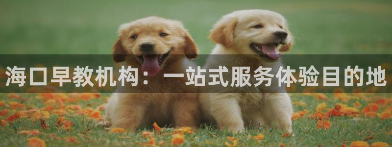 天狮娱乐指尖下载手机版