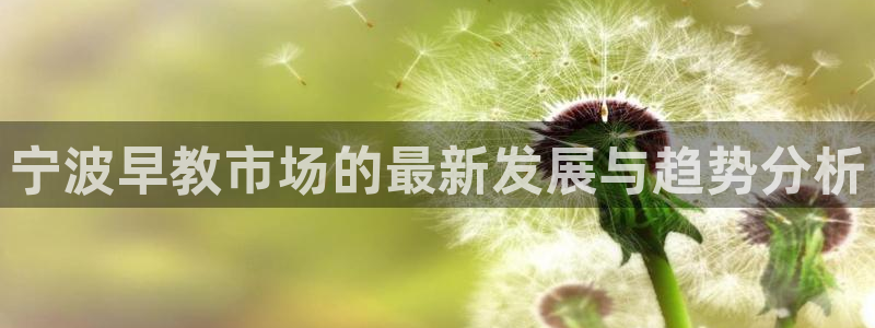 天狮娱乐方：宁波早教市场的最新发展与趋势分析
