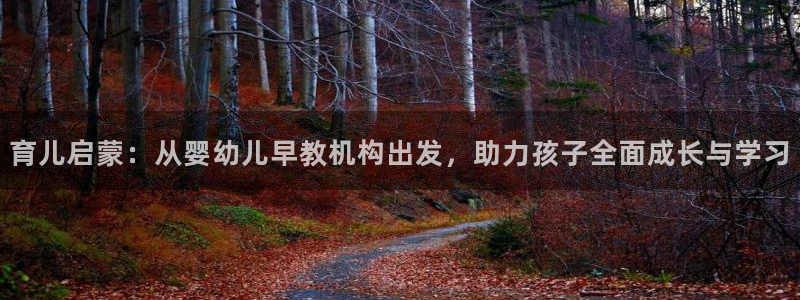 天狮娱乐招商：育儿启蒙：从婴幼儿早教机构出发，助力孩子全面成长与学习