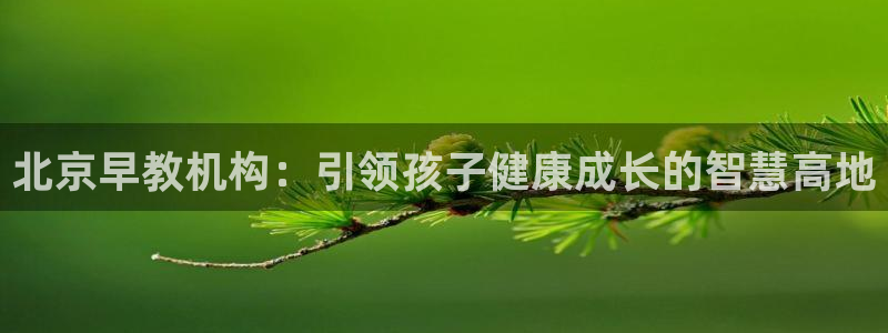 天狮娱乐k开户72 226主 管：北京早教机构：引领孩子健康成长的智慧高地