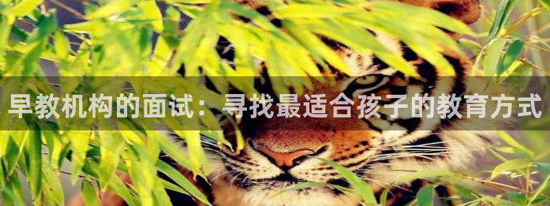 天狮娱乐i股t东64681：早教机构的面试：寻找最适合孩子的教育方式