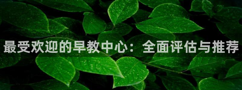 天狮娱乐彩票真假：最受欢迎的早教中心：全面评估与推荐