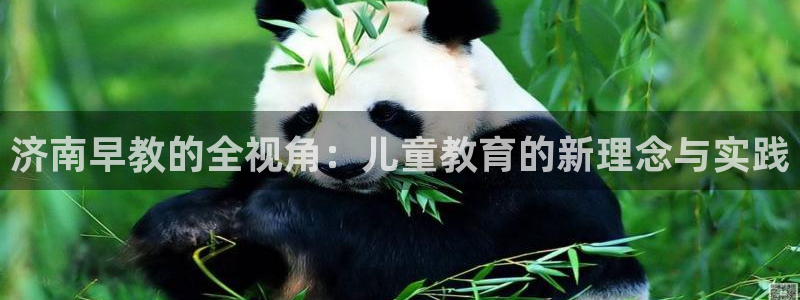 天狮娱乐去：济南早教的全视角：儿童教育的新理念与实践