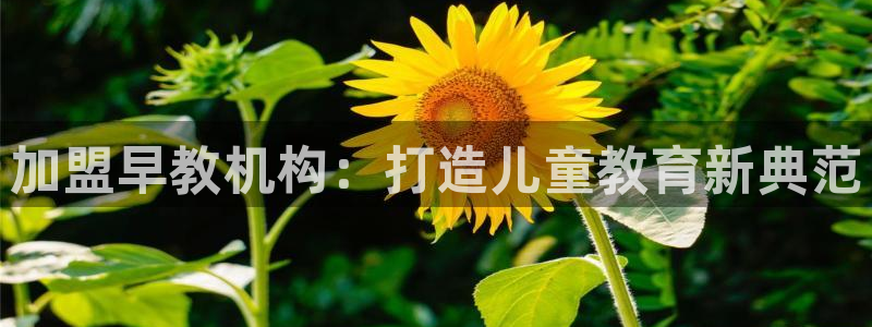天狮娱乐会路吗：加盟早教机构：打造儿童教育新典范
