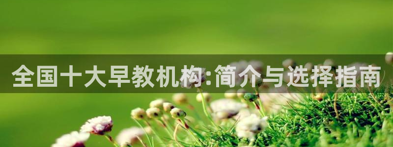 天狮娱乐平台多久：全国十大早教机构:简介与选择指南