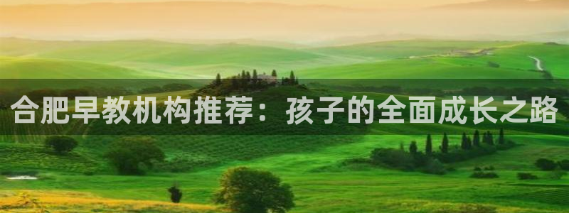 天豪娱乐会所狮山：合肥早教机构推荐：孩子的全面成长之路