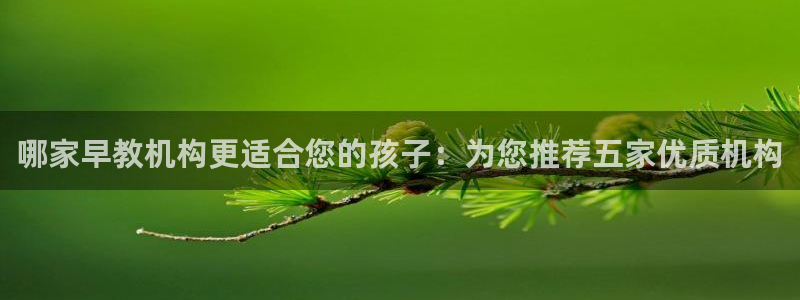 天狮娱乐¤股s东50015：哪家早教机构更适合您的孩子：为您推荐五家优质机构