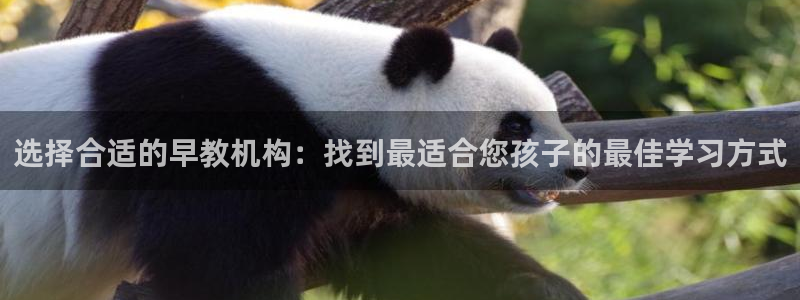 天狮娱乐客服电话：选择合适的早教机构：找到最适合您孩子的最佳学习方式