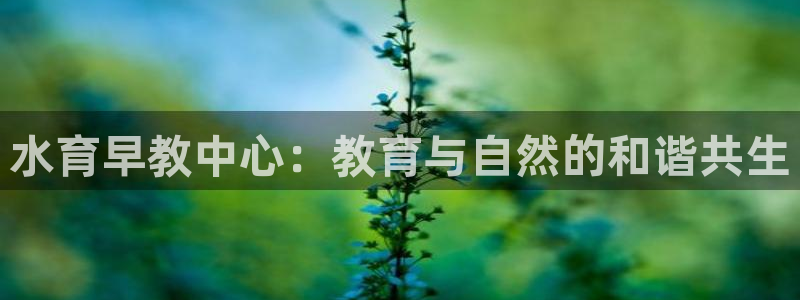 天狮娱乐招商87277：水育早教中心：教育与自然的和谐共生
