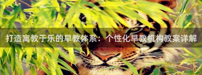 天狮娱乐 主管注册官网：打造寓教于乐的早教体系：个性化早教机构教案详解
