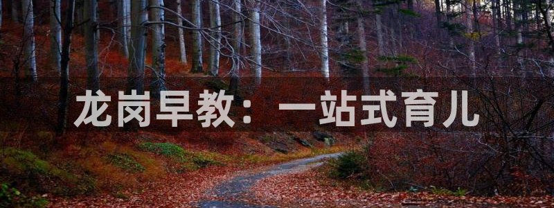 天狮娱乐分分彩平台：龙岗早教：一站式育儿