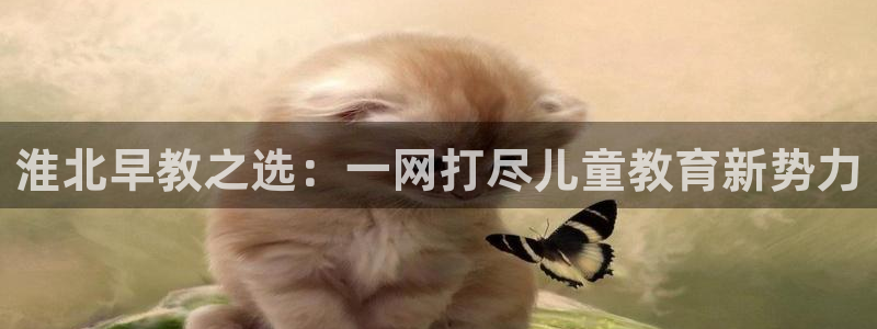 天狮娱乐主管汽车之家：淮北早教之选：一网打尽儿童教育新势力