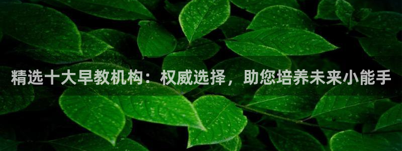 天狮娱乐平台作弊：精选十大早教机构：权威选择，助您培养未来小能手