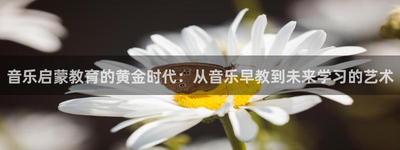 天狮娱乐专线：音乐启蒙教育的黄金时代：从音乐早教到未来学习的艺术