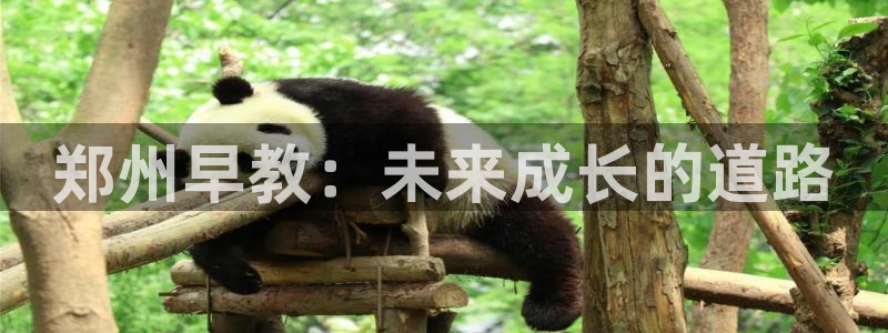天狮娱乐招代理：郑州早教：未来成长的道路