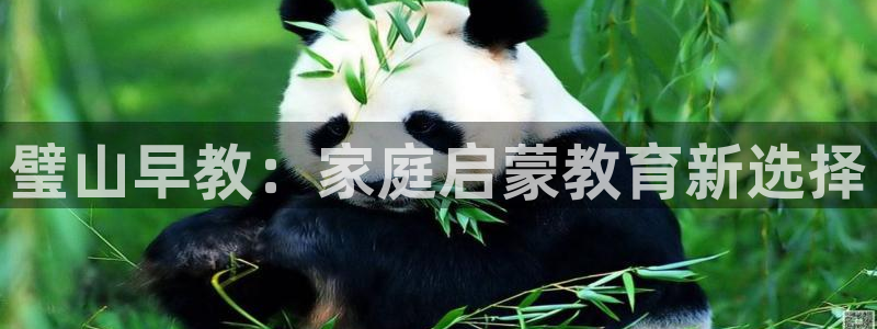 天狮娱乐挂机软件：璧山早教：家庭启蒙教育新选择