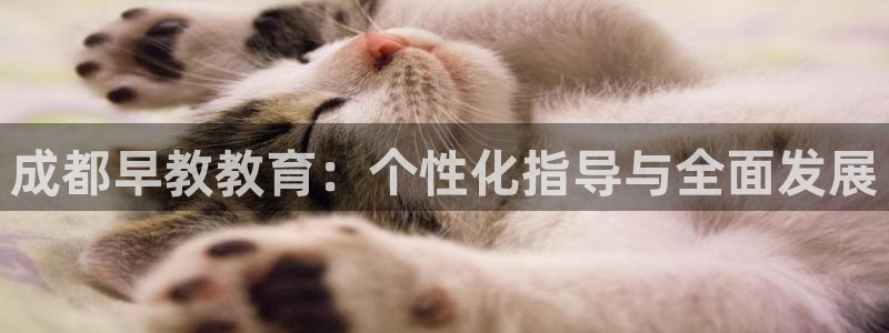 天狮娱乐股东主管：成都早教教育：个性化指导与全面发展