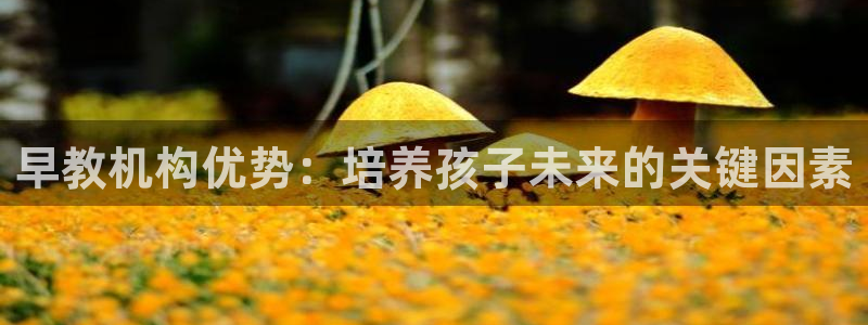 天狮娱乐招：早教机构优势：培养孩子未来的关键因素