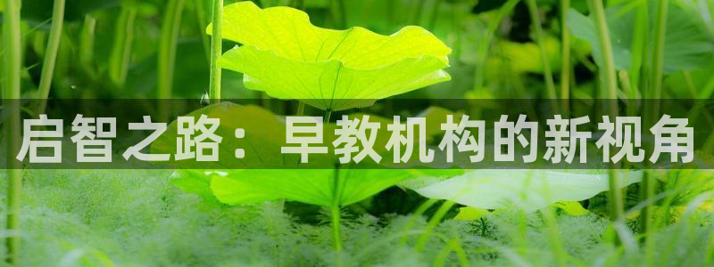 天狮娱乐学：启智之路：早教机构的新视角