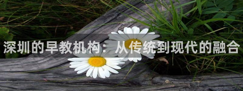 天狮娱乐557448：深圳的早教机构：从传统到现代的融合