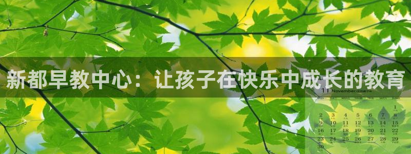 天狮娱乐登录网址：新都早教中心：让孩子在快乐中成长的教育