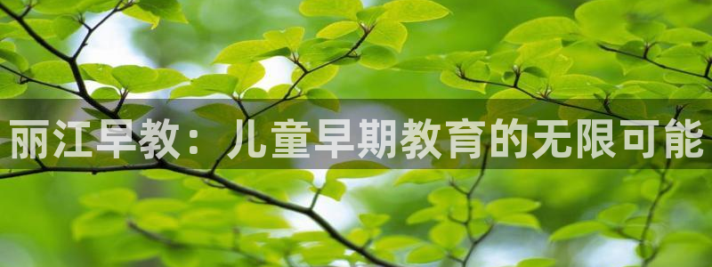 天狮娱乐违法行为：丽江早教：儿童早期教育的无限可能