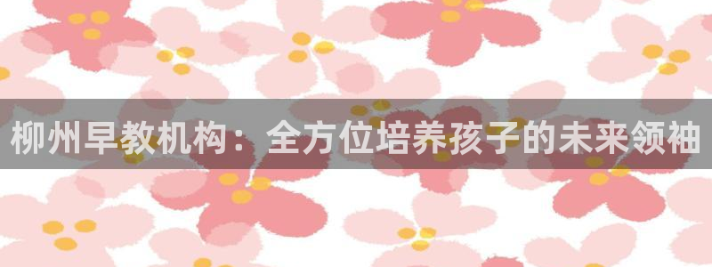 龙湖苏州狮山天街娱乐：柳州早教机构：全方位培养孩子的未来领袖