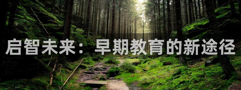 天狮娱乐彩票客服电话：启智未来：早期教育的新途径