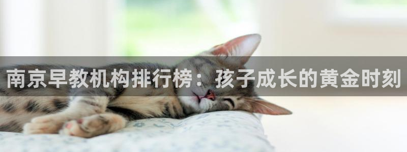 天狮娱乐 官方注册主管：南京早教机构排行榜：孩子成长的黄金时刻