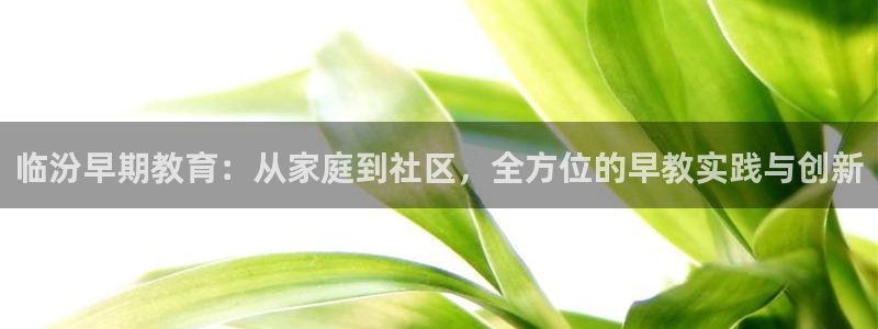 天狮娱乐是真是假：临汾早期教育：从家庭到社区，全方位的早教实践与创新