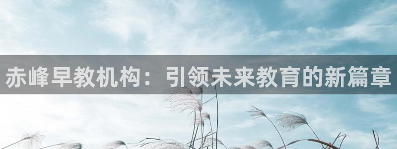 天狮娱乐e招d商98732：赤峰早教机构：引领未来教育的新篇章