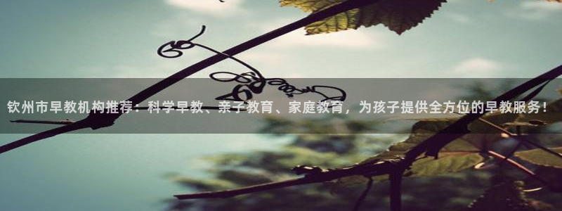 天狮娱乐湫333 00：钦州市早教机构推荐：科学早教、亲子教育、家庭教育，为孩子
