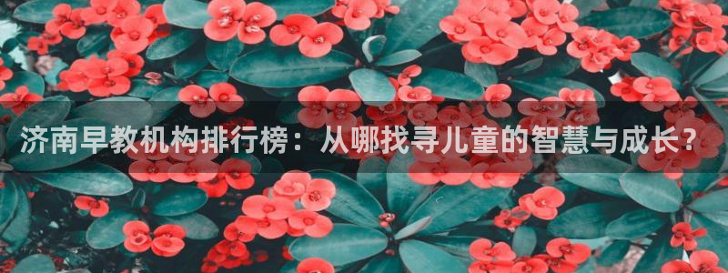 天狮娱乐 82104直招q：济南早教机构排行榜：从哪找寻儿童的智慧与成长？