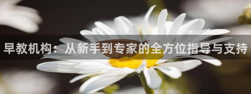 天狮娱乐 来q.395-867：早教机构：从新手到专家的全方位指导与支持