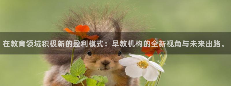 天狮娱乐真的：在教育领域积极新的盈利模式：早教机构的全新视角与未来出路。