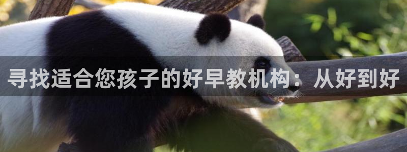 天狮娱乐36633股东：寻找适合您孩子的好早教机构：从好到好