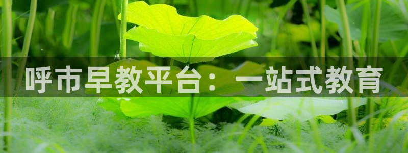 天狮娱乐代理最高多少：呼市早教平台：一站式教育