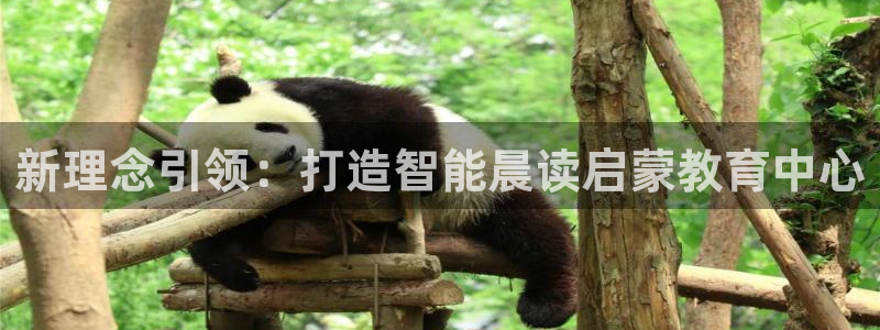 天狮学院娱乐设施怎么样：新理念引领：打造智能晨读启蒙教育中心