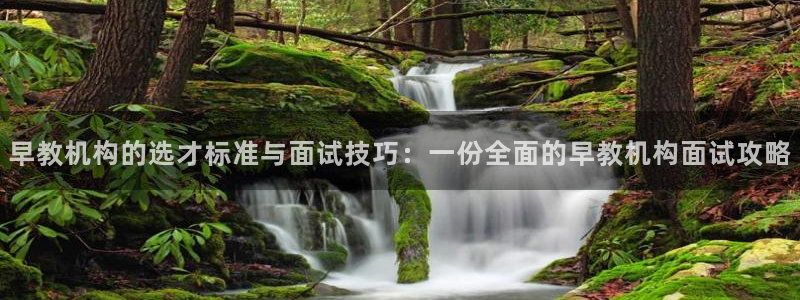 天狮娱乐平台注册：早教机构的选才标准与面试技巧：一份全面的早教机构面试攻略