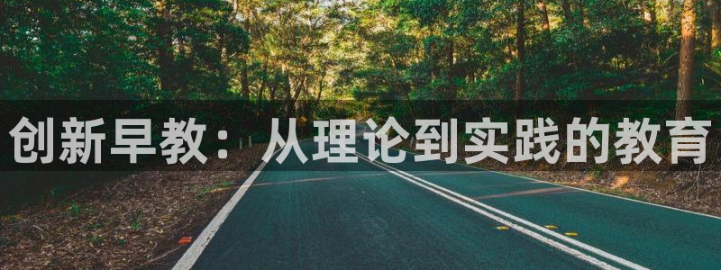 天狮娱乐 彩票：创新早教：从理论到实践的教育